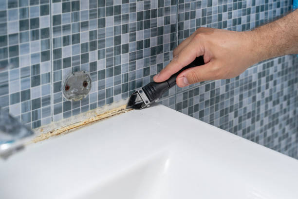 Best Mold Testing and Inspection Services in Trenton, FL